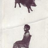 Chris Salmon – Falling Pig