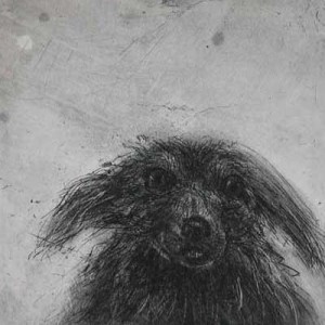 Chris Salmon – Small Dog