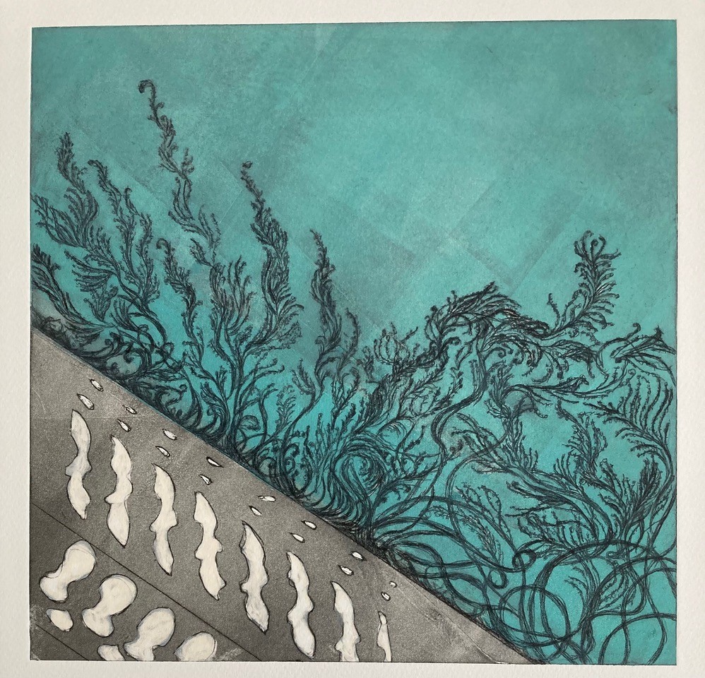 Sally Spens - Laguna