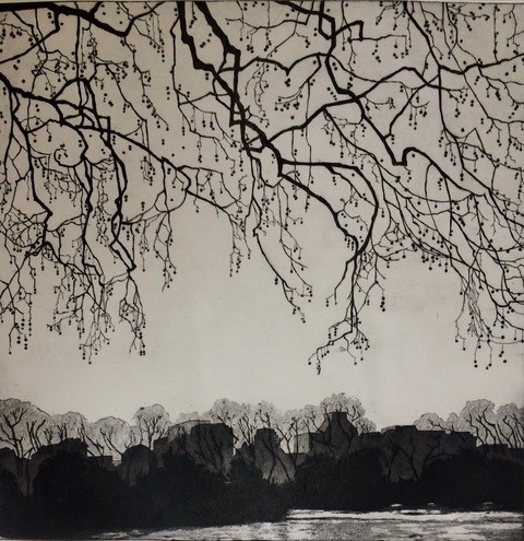 Sally Spens - St James Park