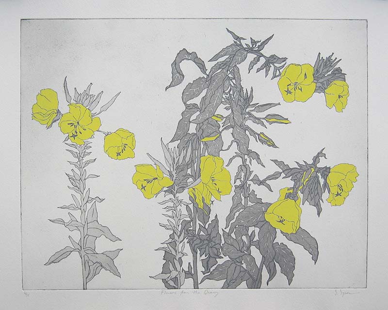 Flowers from the Quarry (2015)