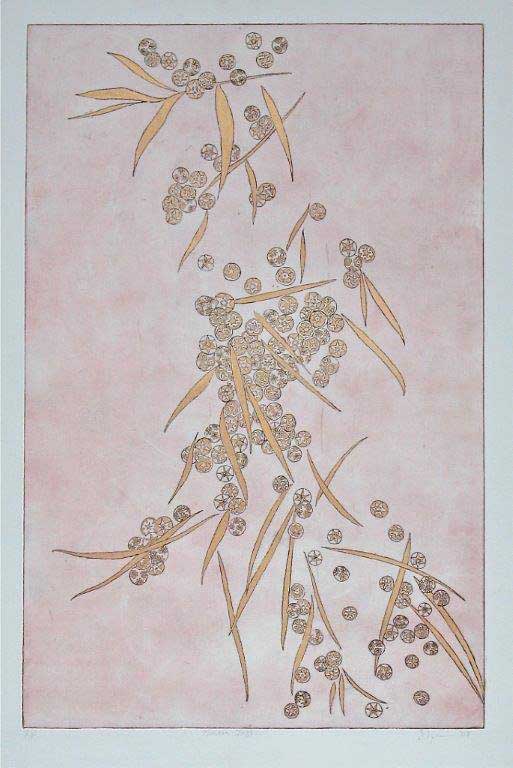 Mimosa Jazz (Pink) 2013