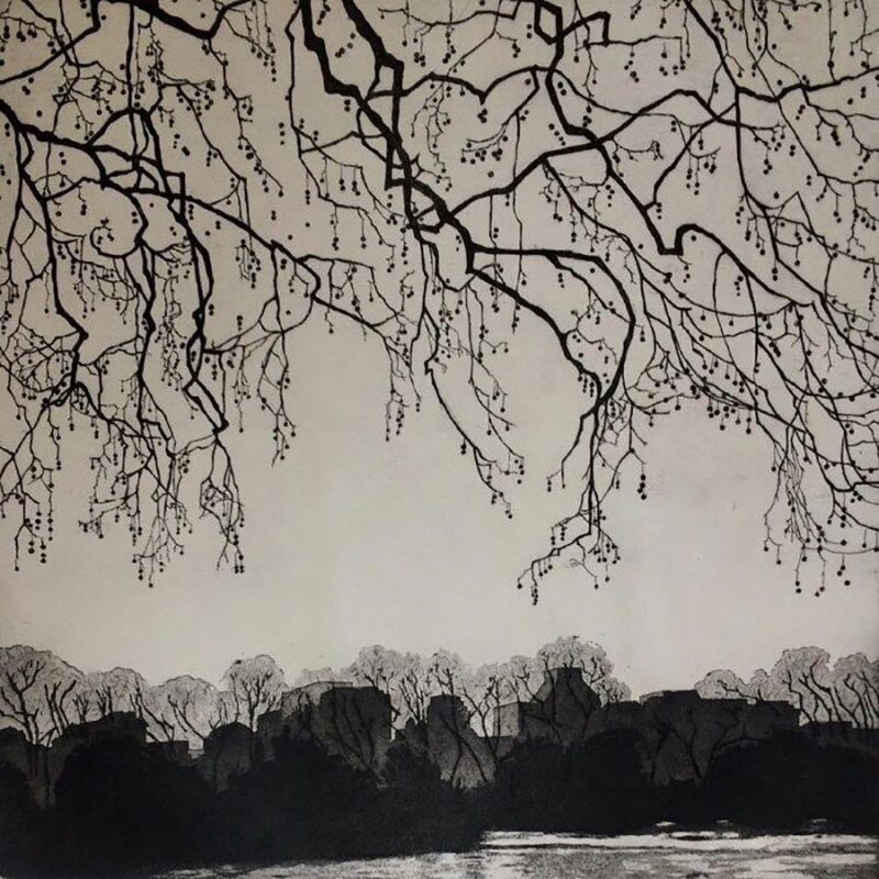 Sally-Spens-St-James-Park,-Plane-Tree-Waterfall