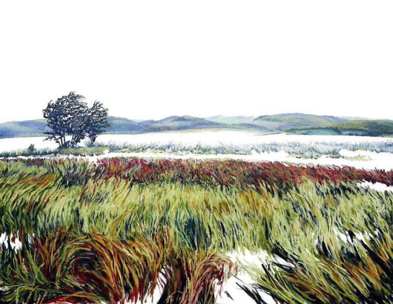 Silke Schoener, Windblown