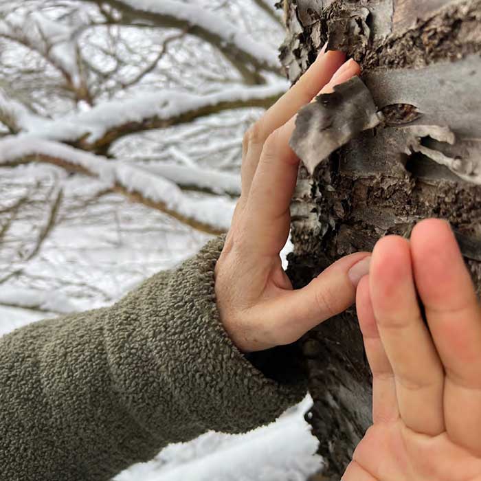 Landscape Awakening - Artist Silke Schoener